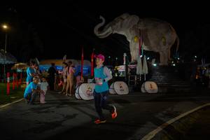 BIB: 
                            <button type="button" onclick="openModal(26552265)" class="btn btn-primary btn-sm float-right btn-popup" data-toggle="modal" data-target=".modal-high-quality">
                        <i class="fas fa-shopping-cart"></i> Add to Cart
                    </button>
                                            <button type="button" onclick="isThisMe(26552265, true)" class="btn btn-success btn-sm float-right btn-popup btn-isme hidden" data-toggle="tooltip" data-placement="bottom" title="นี่คือรูปของคุณใช่ไหม คลิกที่นี่เพื่อเอาเข้าอัลบั้ม">
                        <i class="fas fa-plus"></i> Add to album
                    </button>
                    <button type="button" onclick="isThisMe(26552265, false)" class="btn btn-warning btn-sm float-right btn-popup btn-isnotme hidden">
                        <i class="fas fa-ban"></i> Remove from album
                    </button>